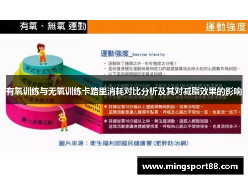 有氧训练与无氧训练卡路里消耗对比分析及其对减脂效果的影响