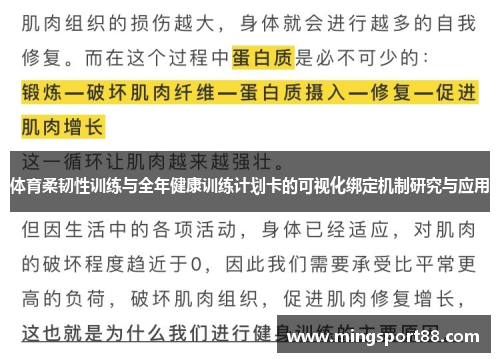 体育柔韧性训练与全年健康训练计划卡的可视化绑定机制研究与应用